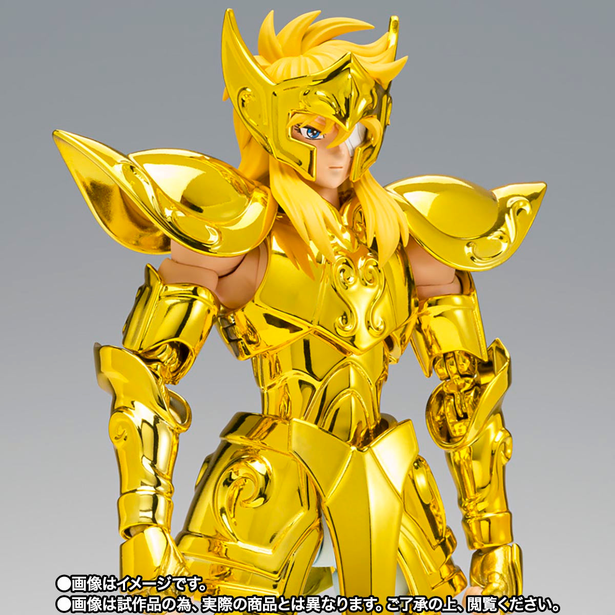 Myth Cloth EX Aquarius Hyoga -Successor of the Golden Cloth-