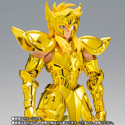 Myth Cloth EX Aquarius Hyoga -Successor of the Golden Cloth-