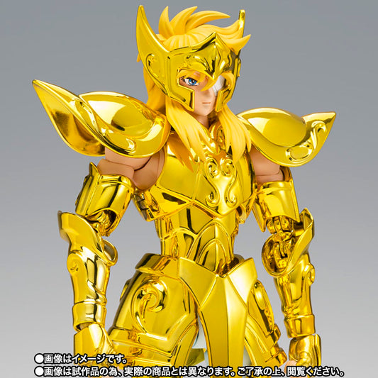 Myth Cloth EX Aquarius Hyoga -Successor of the Golden Cloth-