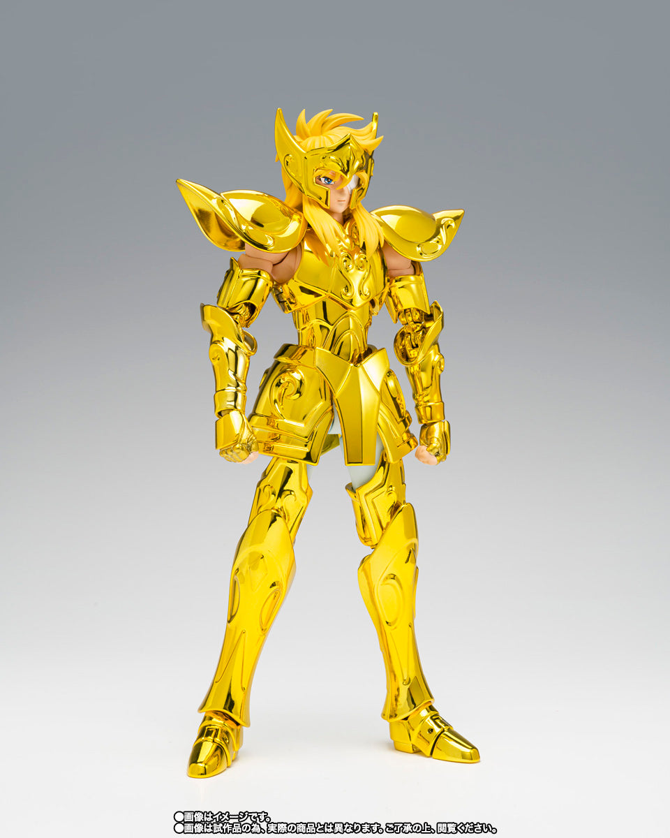 Myth Cloth EX Aquarius Hyoga -Successor of the Golden Cloth-