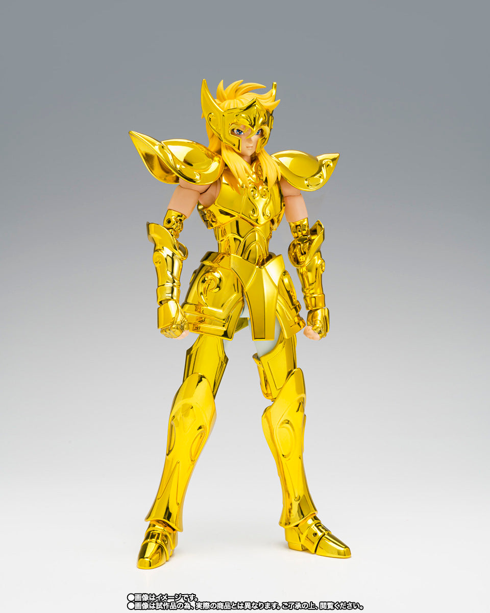 Myth Cloth EX Aquarius Hyoga -Successor of the Golden Cloth-