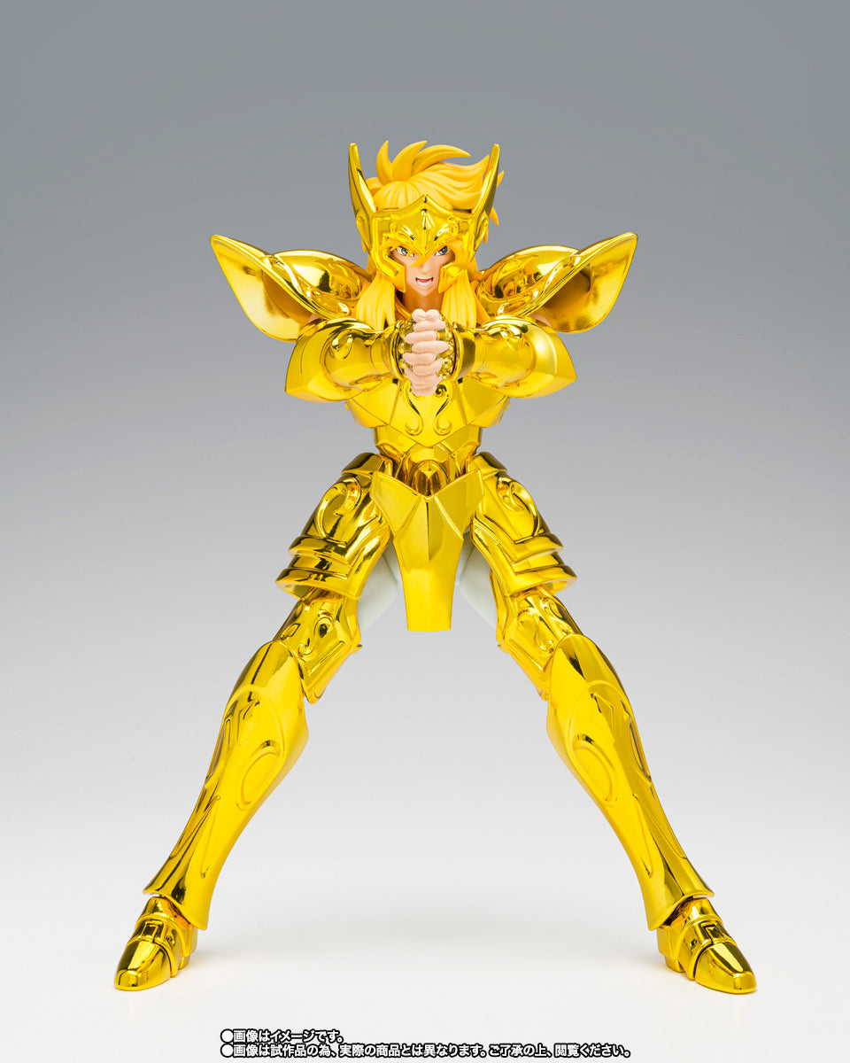 Myth Cloth EX Aquarius Hyoga -Successor of the Golden Cloth-