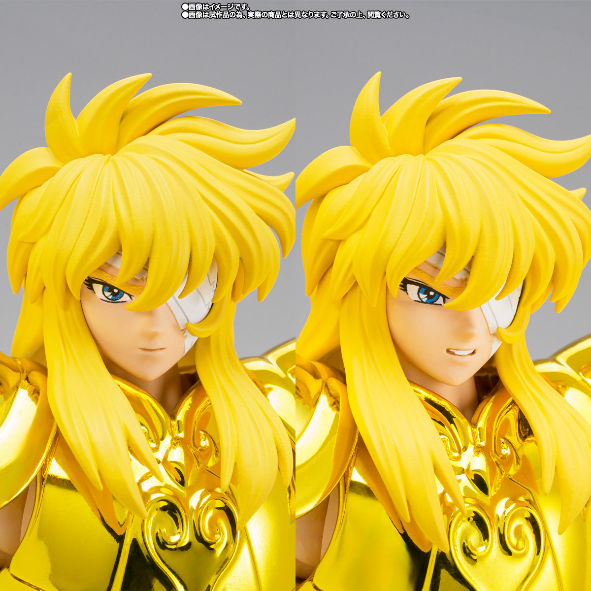 Myth Cloth EX Aquarius Hyoga -Successor of the Golden Cloth-