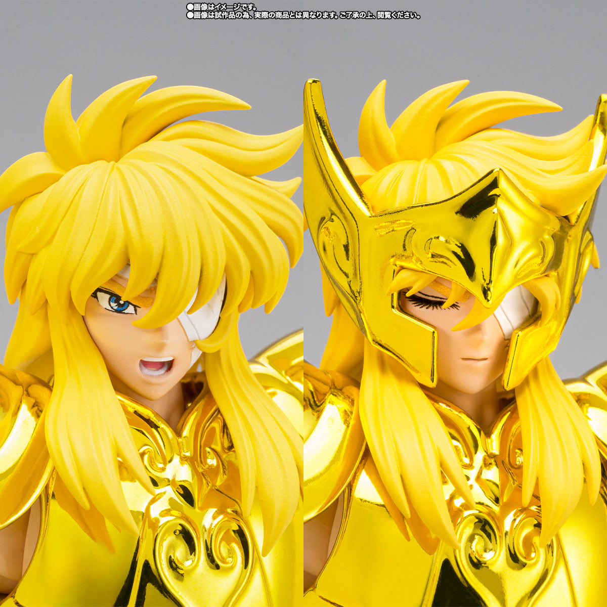 Myth Cloth EX Aquarius Hyoga -Successor of the Golden Cloth-